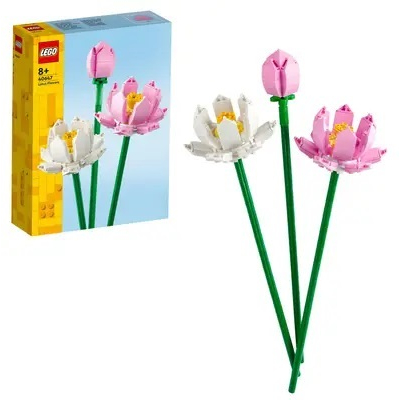 Lotusbloemen 40647