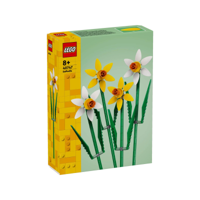 Narcissen 40747 