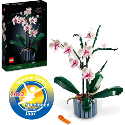 Orchidee 10311