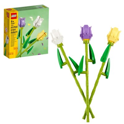 Tulpen 40461