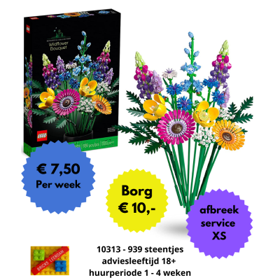 VERHUUR - 10313 Boeket Wilde bloemen