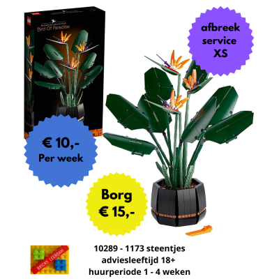 VERHUUR - 10289 paradijsplant VERHUUR - 10289 paradijsplant